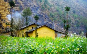 8 days northeast Vietnam tour