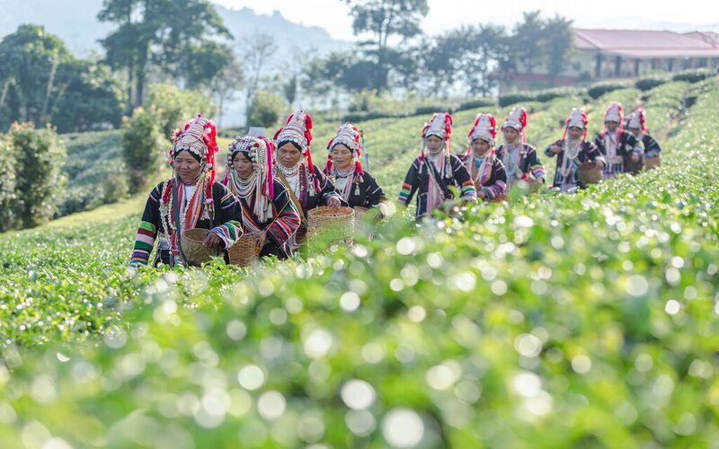 Akha women of Chiang Mai in traditional dress