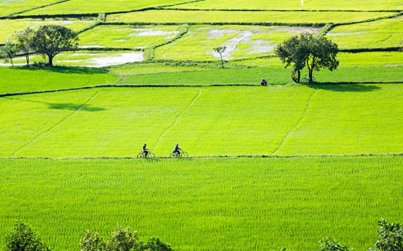 An Giang Travel Guide