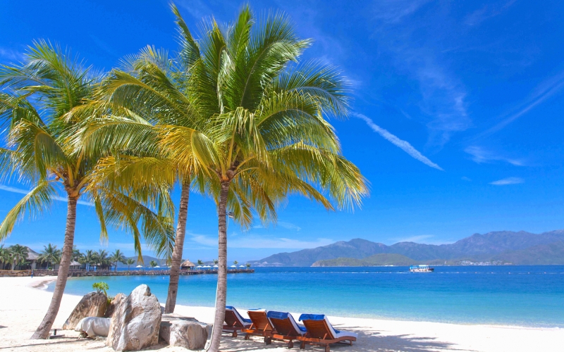 Golden sands, gentle waves, and a laid-back atmosphere, An Bang Beach offers the perfect seaside escape just a few minutes from Hoi An Ancient Town.