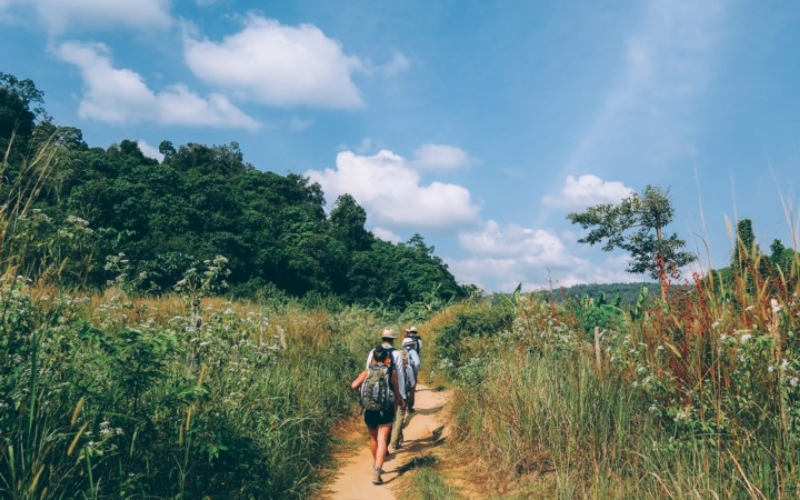A local guide will lead you through the wild beauty of the Cardamom Mountains