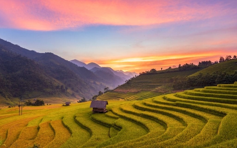 The sun sets behind the mountains, casting long shadows over Sapa’s ripe rice fields.
