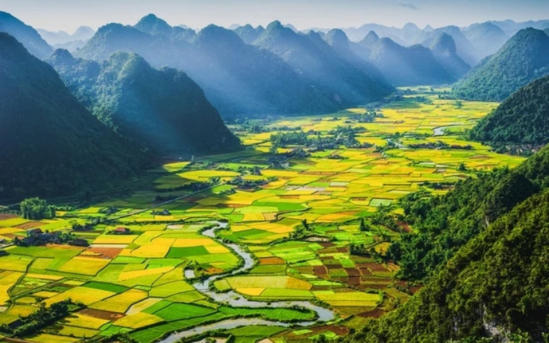 Bac Son’s wide valley comes alive with golden rice ready for harvest, harmoniously dotted with emerald-green fields that haven’t ripened yet. This stunning contrast is best seen from above, especially at sunrise or sunset.