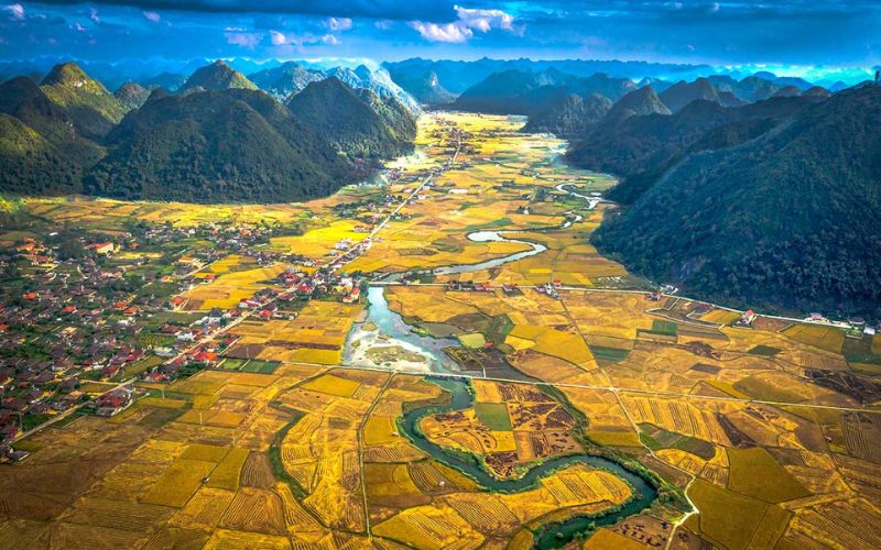 Panoramic view of Bac Son Valley from Na Lay Peak in Northern Vietnam, showcasing golden rice fields, winding rivers, and surrounding limestone mountains under a vibrant sky