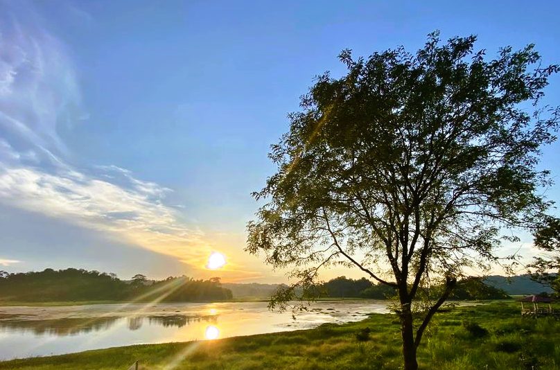 Bau Sau Nam Cat Tien