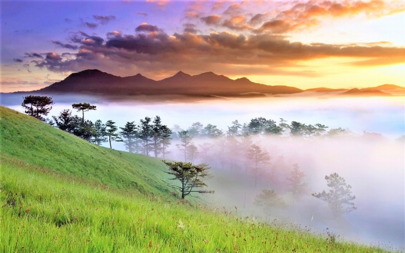 View from the top of Lang Biang Mountain, showcasing rolling pine-covered hills, misty valleys, and the distant rooftops of Da Lat under a blue sky, popular spot for trekking and panoramic photography.