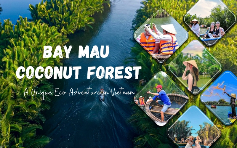 Bay Mau Coconut Forest in Hoi An: A Unique Eco-Adventure in Vietnam