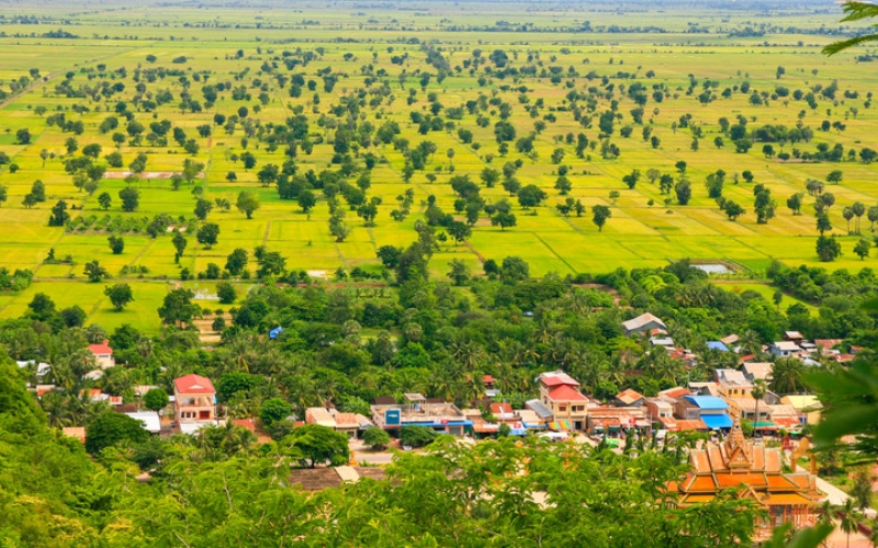 Lush green rice fields stretch across the countryside of Battambang after a fresh monsoon rain, with locals pedaling past colonial-era buildings and riverside markets.