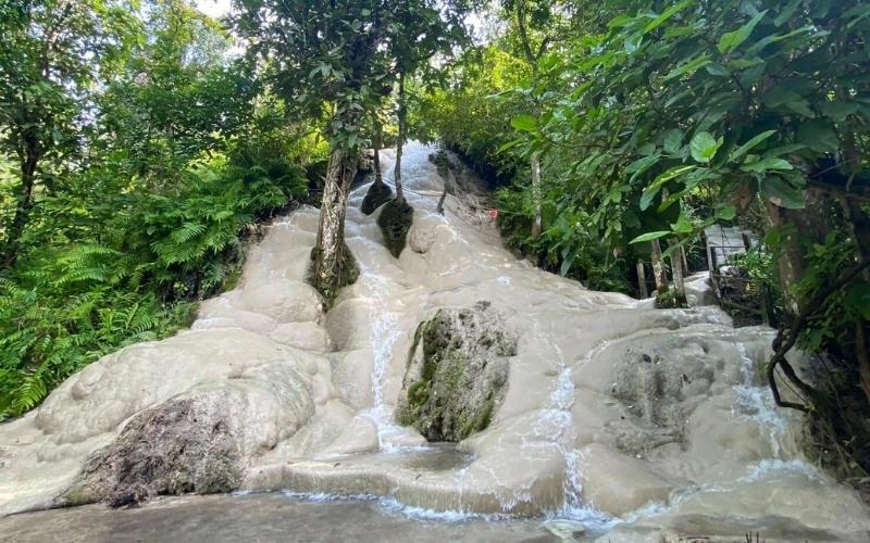 A unique limestone waterfall in a lush forest, where water flows over smooth, pale rock formations at Bua Thong Sticky Waterfall in Thailand.