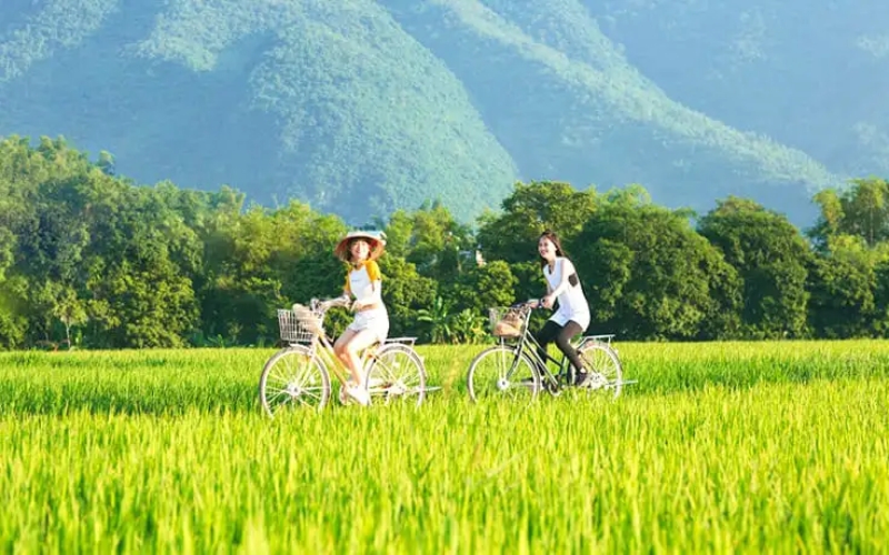 Bicycles rest along a small dirt path winding through golden rice paddies in Mai Chau. The golden season brings a warm glow to this peaceful farming community.