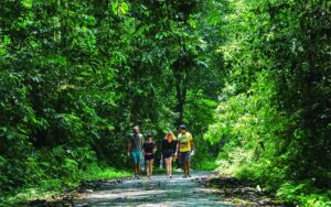 Cuc Phuong National Park Full Day Tour