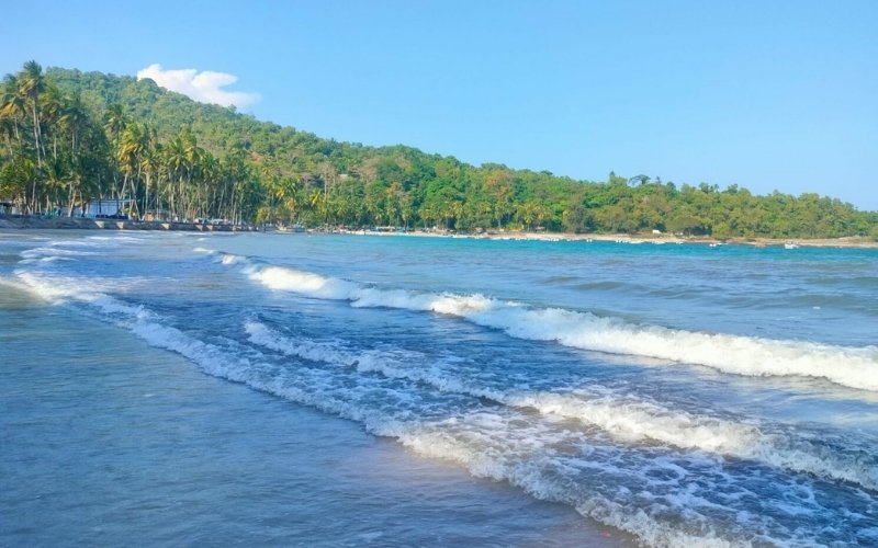 A scenic view of Corbyn's Cove Beach, featuring gentle waves rolling onto the shore. The background is lined with lush green hills and a dense row of palm trees, all under a clear blue sky.