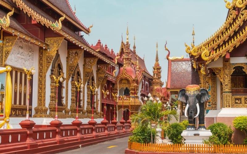 Ornate Buddhist temple buildings in Chiang Mai’s Old City, featuring intricate golden carvings, red-and-white structures, and a decorative elephant statue surrounded by small plants.
