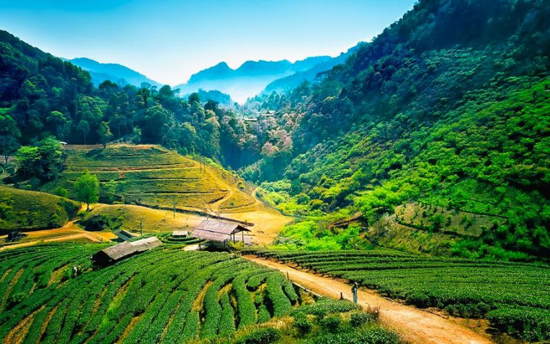 Chiang Mai countryside scenery