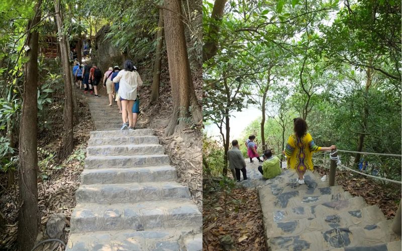Visitors climbing the stone steps to the viewpoint on Ti Top Island, surrounded by trees and shaded pathways