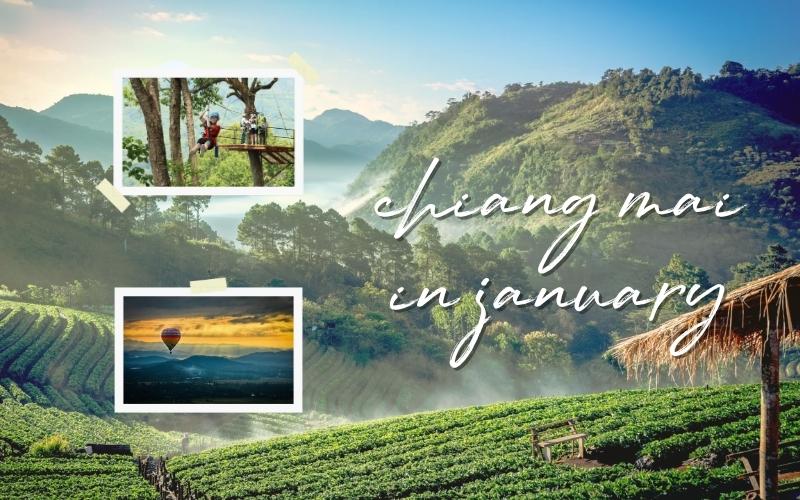Chiang Mai in January: A Spectacular Journey Through Culture and Nature