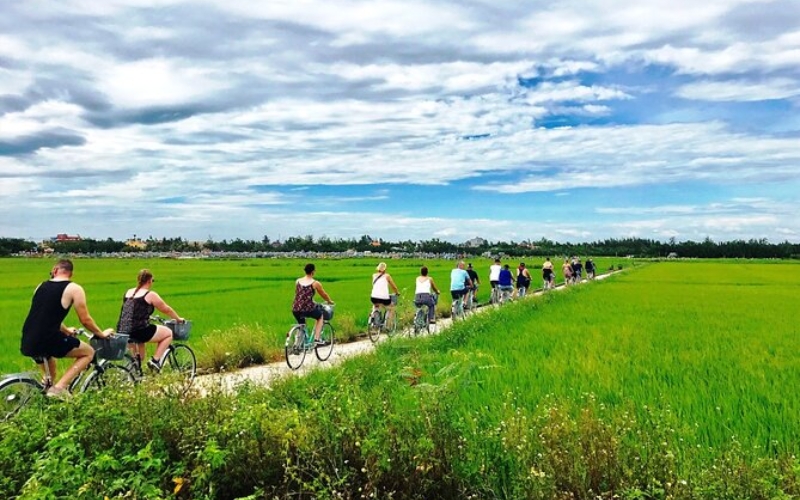 Cycling through the peaceful rice fields of Hoi An’s countryside