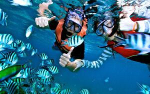 Check out the excellent dive spots at Angthong