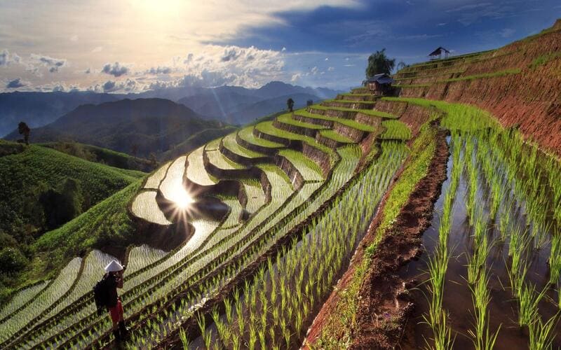 Terraced rice fields in Chiang Mai, Thailand, glistening with water after the rain under a golden sunset, with a farmer standing and admiring the view.