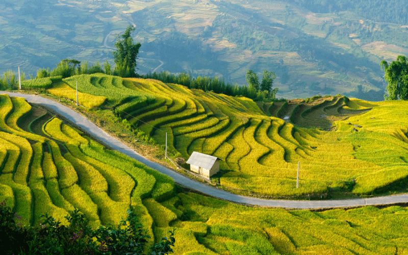 Stunning Natural Landscape from Khau Pha Pass