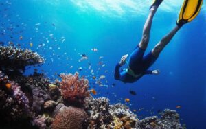 Diving in Mergui Archipelago
