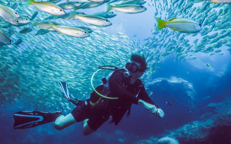 Scuba diver surrounded by a school of fish in clear blue waters near Koh Phi Phi, Thailand, ideal for diving and snorkeling
