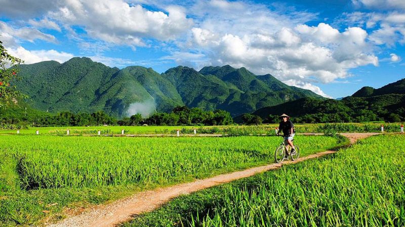 Ride through rice paddies in Mai Chau