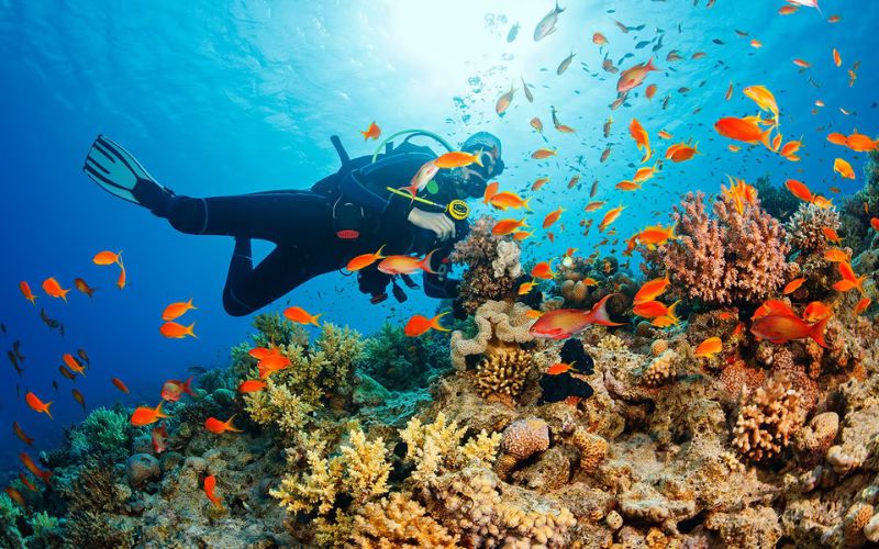 Snorkeling in Mun Island, Nha Trang