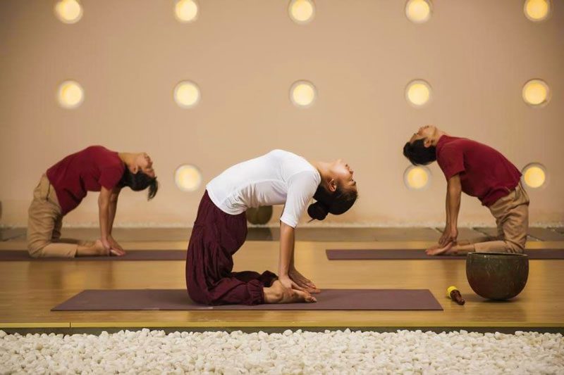 Daily yoga course