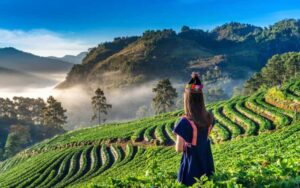 Doi Angkhang