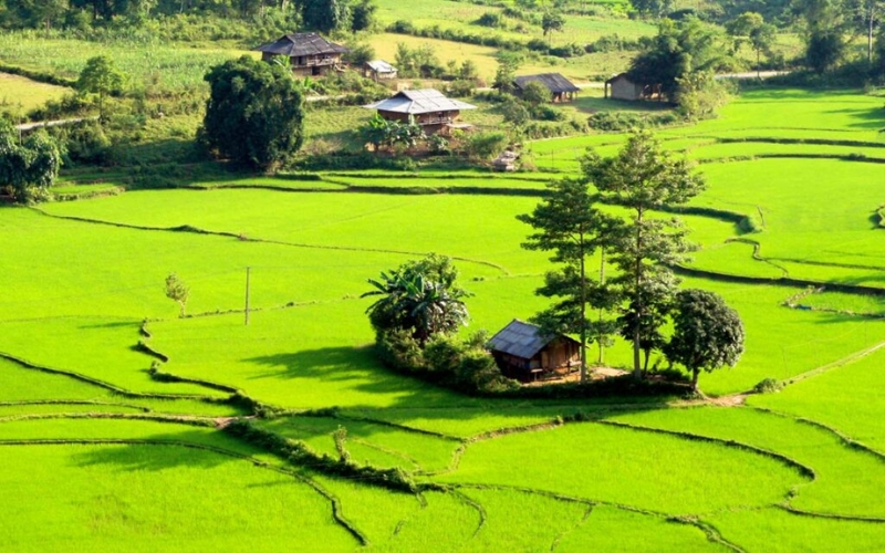 Scenic view of Du Gia Village in Ha Giang, Vietnam, with traditional stilt houses nestled among lush green rice fields and surrounded by forested mountains