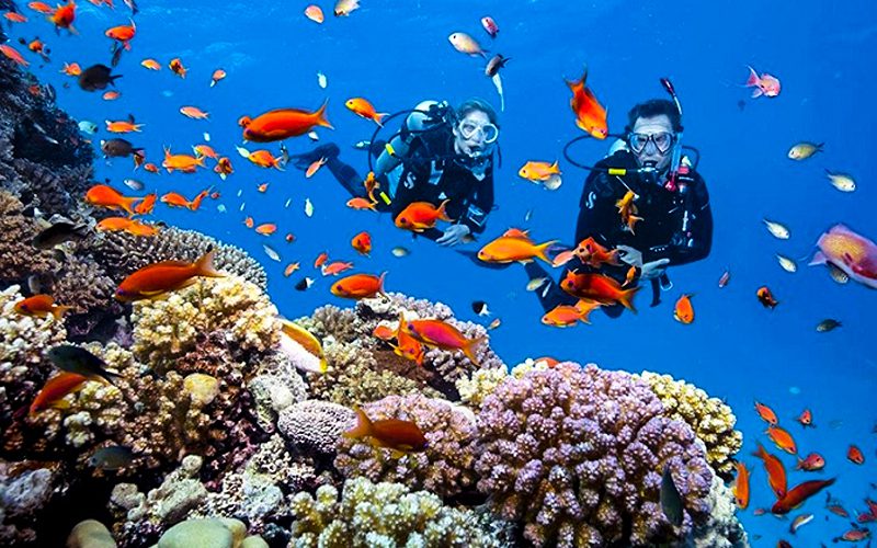 Diving Nha Trang