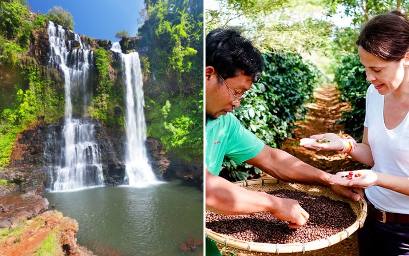 Discovering the rich coffee heritage and majestic waterfalls of the Bolaven Plateau