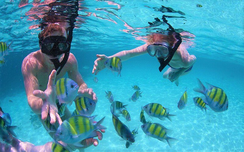 Experience snorkeling in Angthong Marine Park