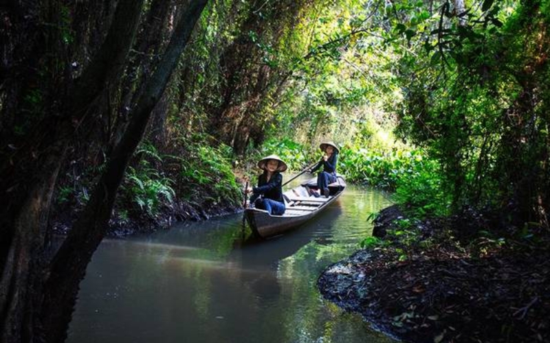 A small sampan gliding through narrow waterways shaded by cajuput trees at Xeo Quyt Relic Site, offering visitors a peaceful eco-tour experience.