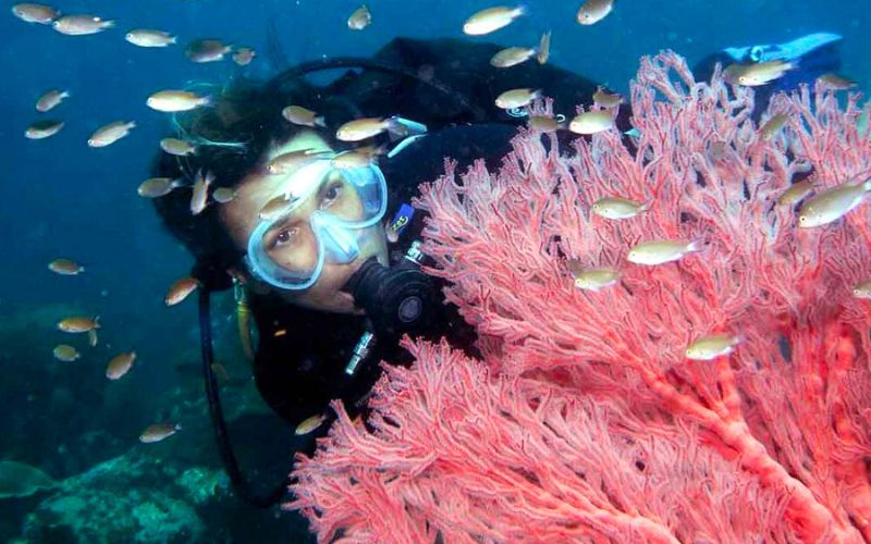 Explore the vibrant marine life through snorkeling in Song Saa