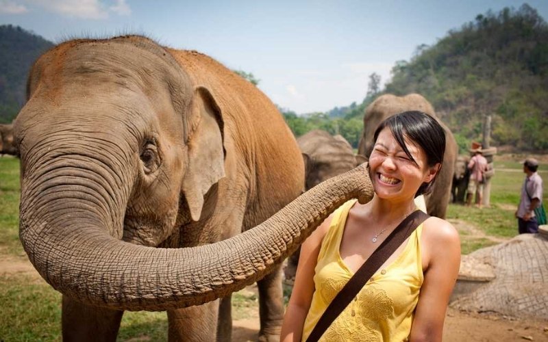A close-up of a happy female tourist laughing as an elephant gently touches her cheek with its trunk at an outdoor elephant sanctuary.