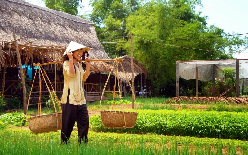 Experience local farming life firsthand at Tra Que Vegetable Village