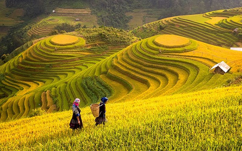 Explore northern Vietnam by trails in 15 days