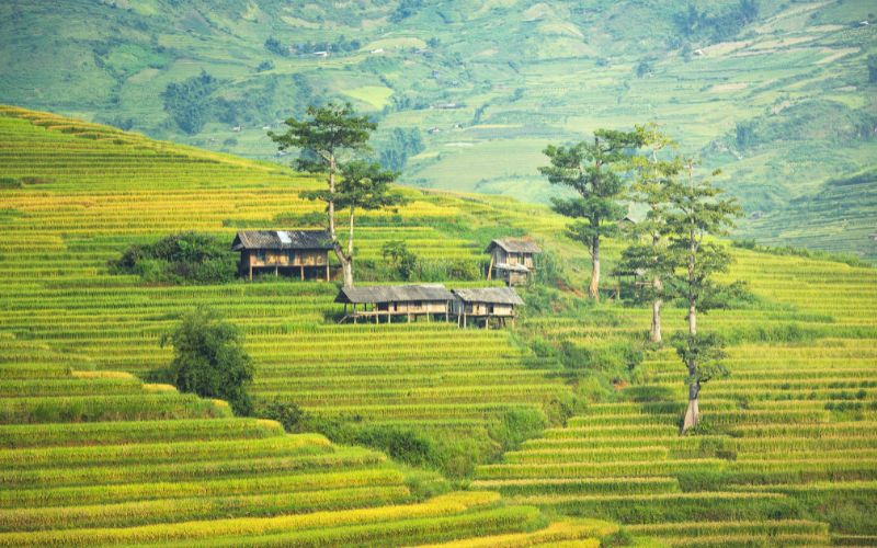 Explore Northern Vietnam and Laos in 17 Days