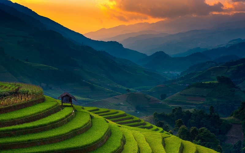 A scenic view of Vietnam’s famous rice terraces, symbolizing the country’s enduring natural beauty that continues to attract travelers regardless of changes to provincial boundaries.