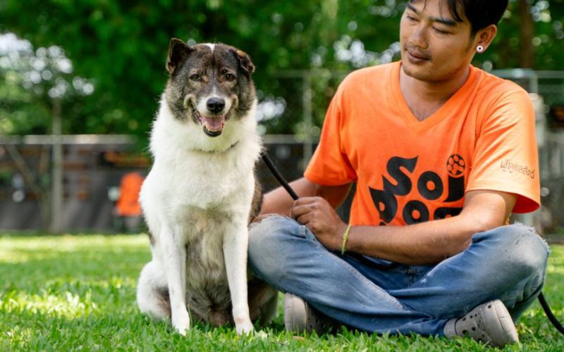 Gabina - a rescue dog in Soi Dog Foundation