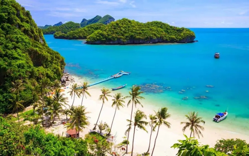 A pristine beach in Koh Samui with palm trees, soft sand, and crystal-clear water, capturing the island’s tropical paradise vibe.