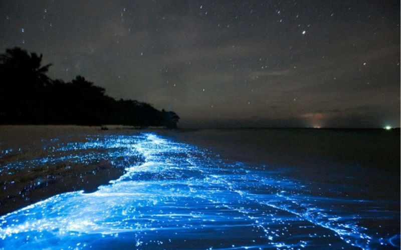 Glowing plankton on Koh Rong when night falls