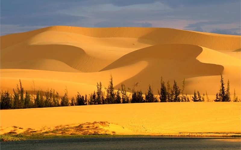 A sweeping view of the Mui Ne Sand Dunes under a bright blue sky, with smooth, golden sand stretching into the distance.