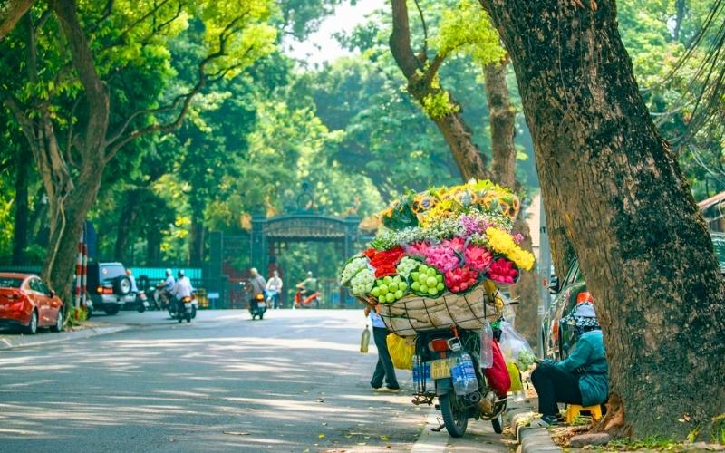 A Corner of Hanoi in Autumn