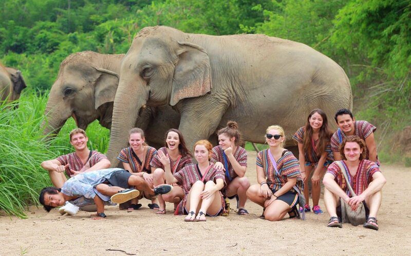 Hang out with giant elephants in Karen's Forest
