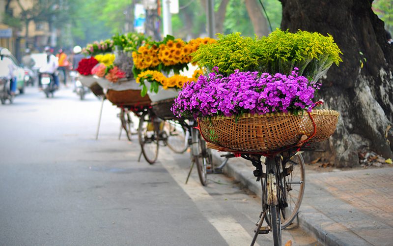 Hanoi flower vendor