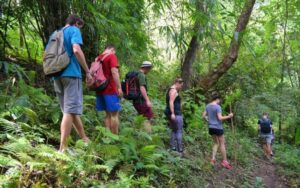 Hiking through Chiang Mai jungle