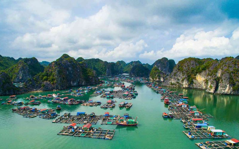 Hai Phong
